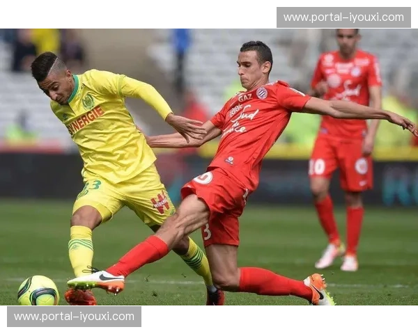 南特虽引援六人但免签居多 整体投入产出比有待观察